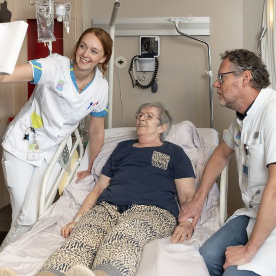 Zorgdesktop, Digitaal En Zorg, R.J Van Lemmen En M. Vogels