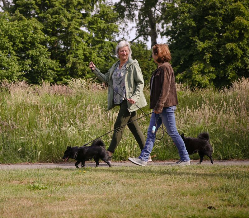 HR 0607 Hond Uitlaten 4 Uitgesneden