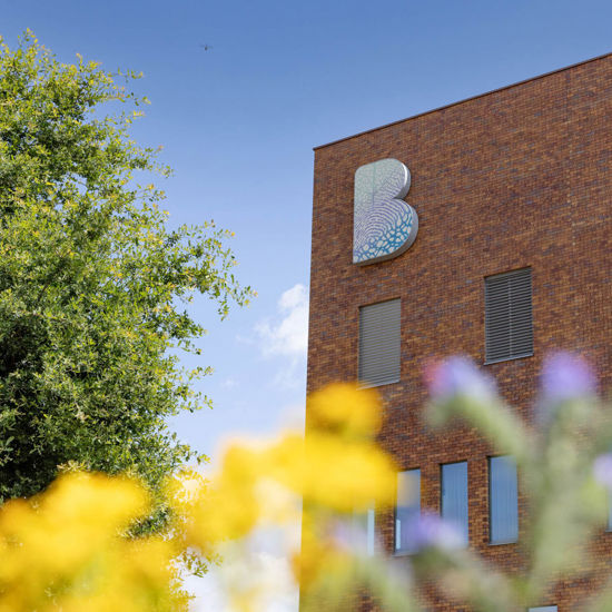 Bernhoven In De Media