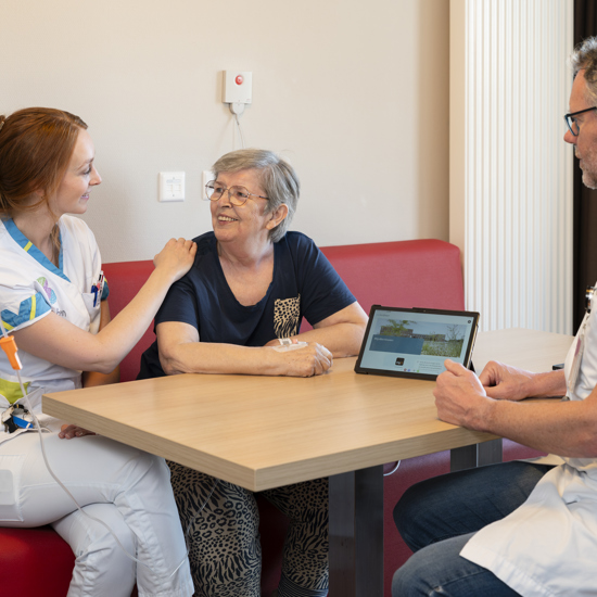 Robbert Jan Van Lemmen En Marley Vogels, Zorgdesktop, Digitaal En Zorg