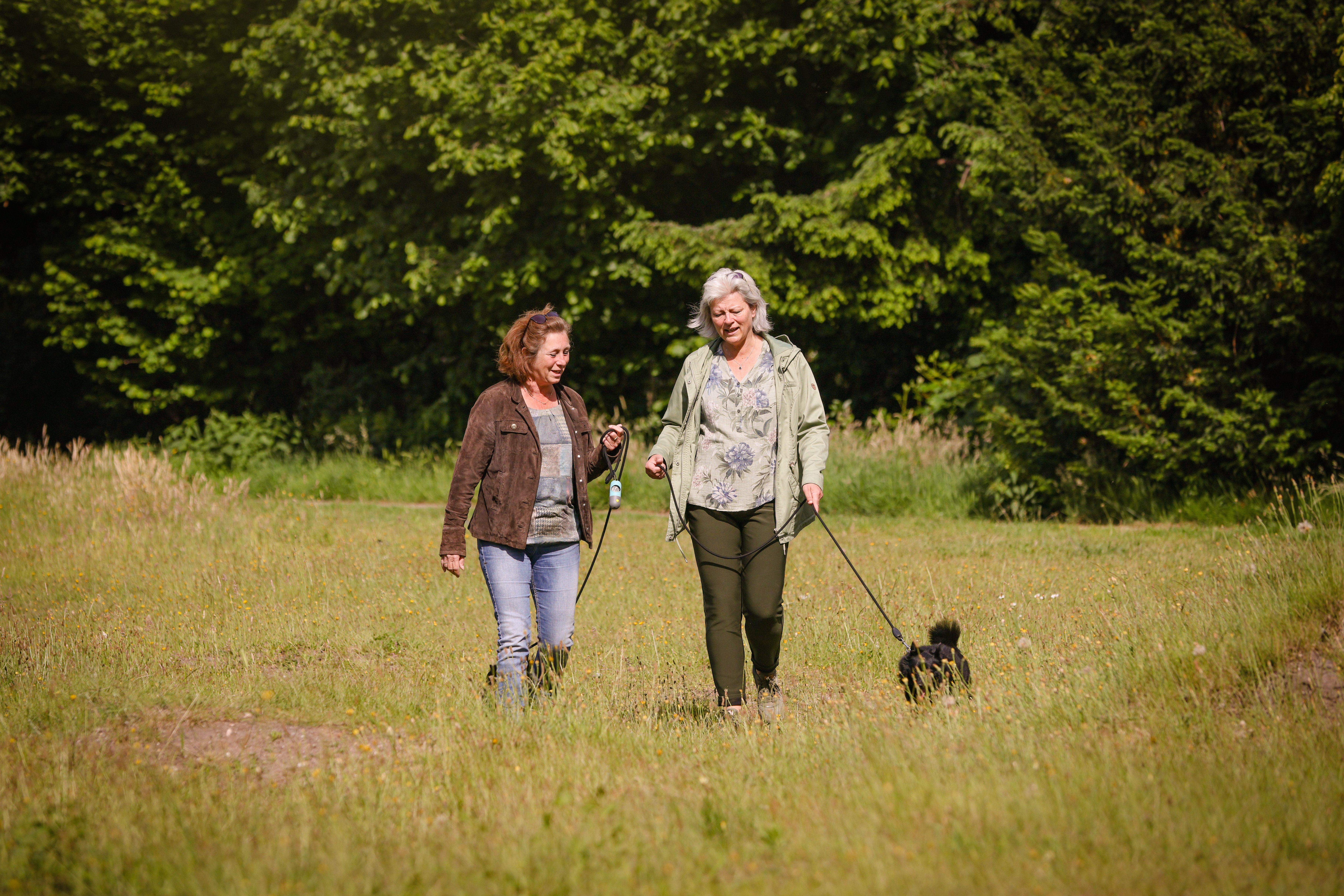 HR Brnhvn 31Mei2022 0589 Hond Uitlaten 3